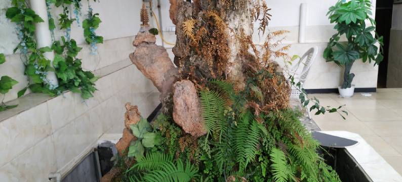 崇州馨怡茶吧住宿图片