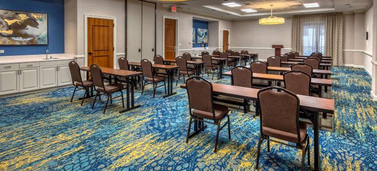 奥斯汀市中心欢朋套房酒店(Hampton Inn & Suites Austin Downtown)图片