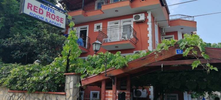 岘港红玫瑰酒店(Red Rose Hotel)图片