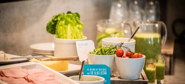 斯堪迪克松兹瓦尔诺德酒店(Scandic Sundsvall Nord)图片