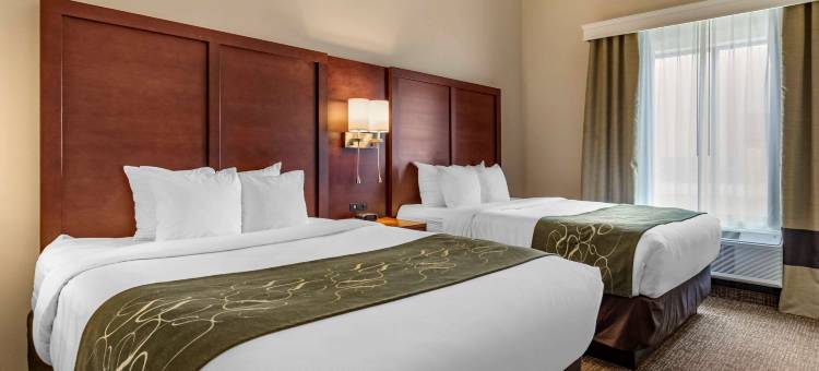 舒适套房酒店(Comfort Suites Kyle)图片