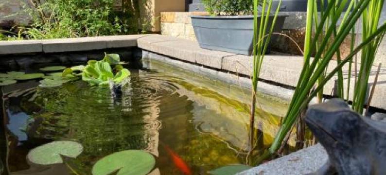 Margareta Garden & Spa图片