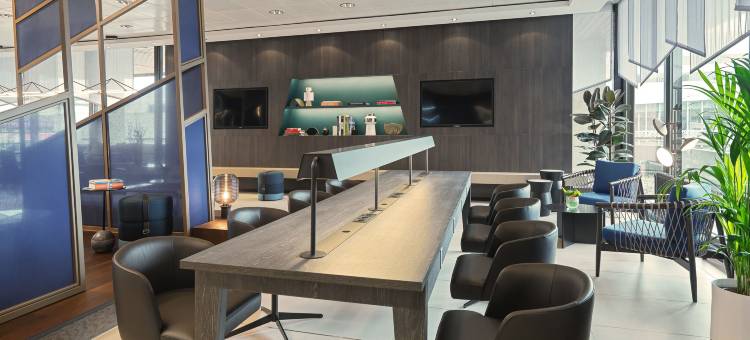 法兰克福机场喜来登酒店及会议中心(Sheraton Frankfurt Airport Hotel & Conference Center)图片