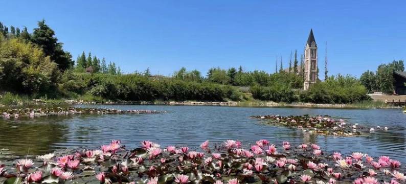 甜心柚子茶公寓(湾宁街1号分店)图片