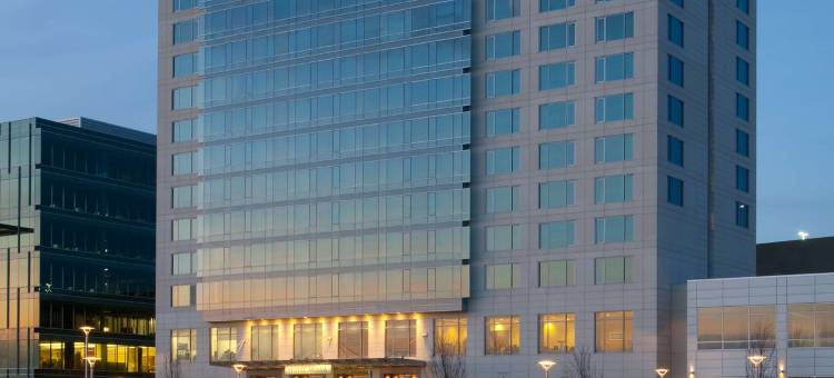 希缇盖特中心阿里斯塔酒店(Hotel Arista)图片