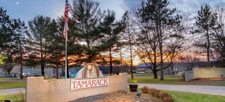 塔马拉克威斯康星德尔斯温德姆华美达酒店(Tamarack Wisconsin Dells, a Ramada by Wyndham)图片