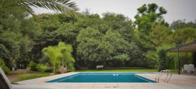 奥利弗旅馆(Posada del Olivo)图片