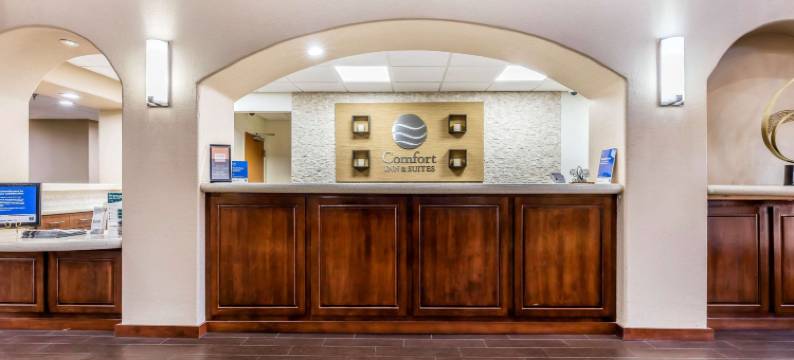 美国之路孟菲斯舒适套房机场酒店(Comfort Inn & Suites Airport-American Way)图片