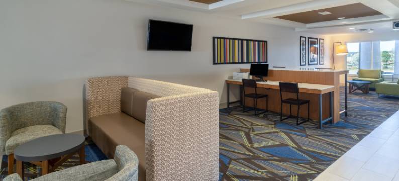 智选假日套房酒店塔拉迪加(Holiday Inn Express & Suites TALLADEGA by IHG)图片