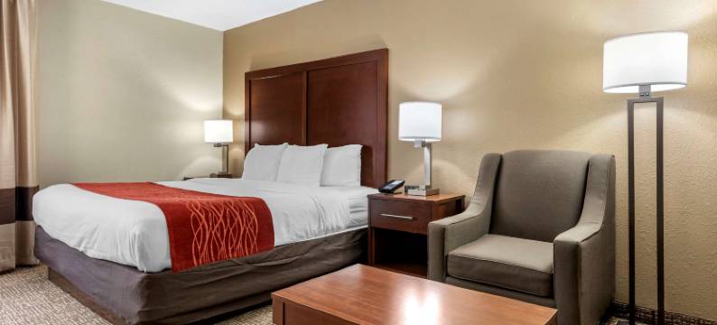 辛辛那提东门舒适套房酒店(Comfort Inn & Suites Cincinnati Eastgate)图片