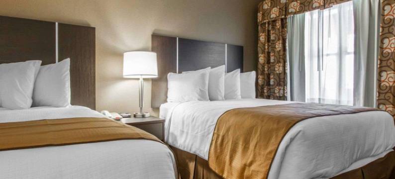 品质酒店及套房(Quality Inn & Suites)图片