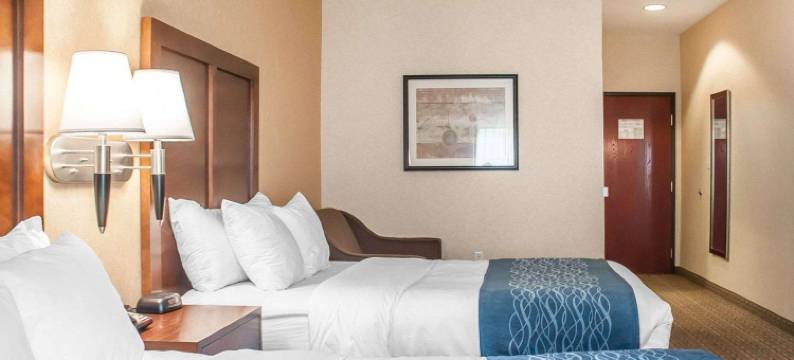 舒适酒店及套房-汉堡-南布法罗(Comfort Inn & Suites Hamburg - Buffalo South)图片