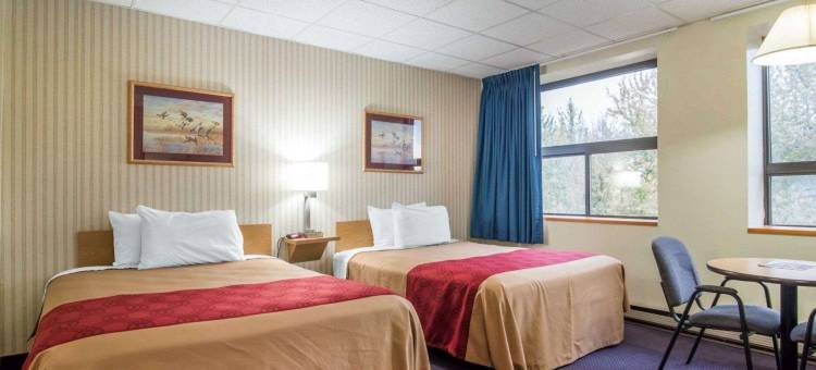 伊康旅馆(Econo Lodge)图片