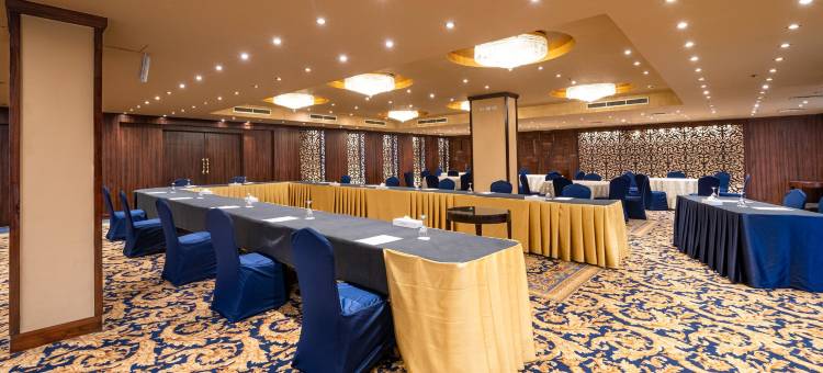 开罗普拉米萨 酒店(Pyramisa Suites Hotel Cairo)图片