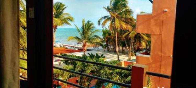 库尔克岛Ccvh旗下海滨公寓(Beach Side Condos Caye Caulker by Ccvh)图片