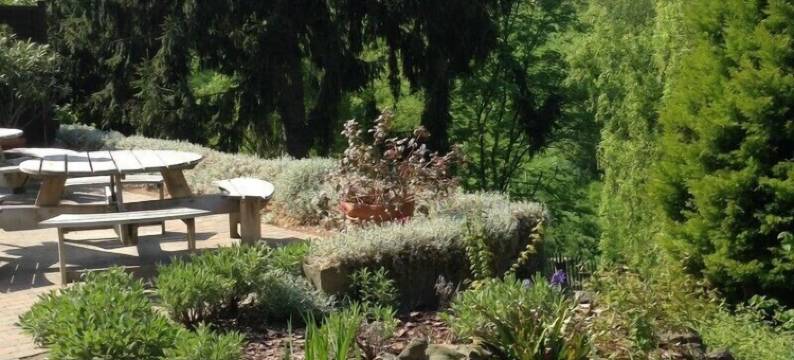 威德弗耶酒店(Vertes Feuilles)图片