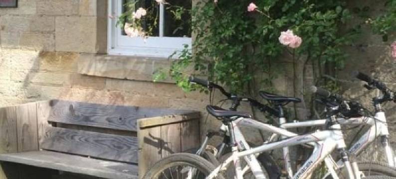 Ardtornish Estate图片