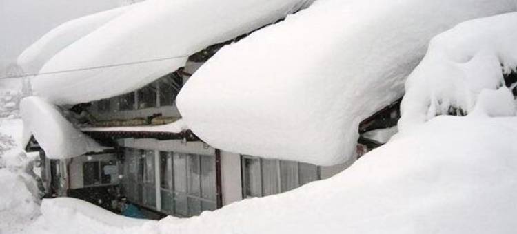 小左卫门民宿(Kozaemon)图片