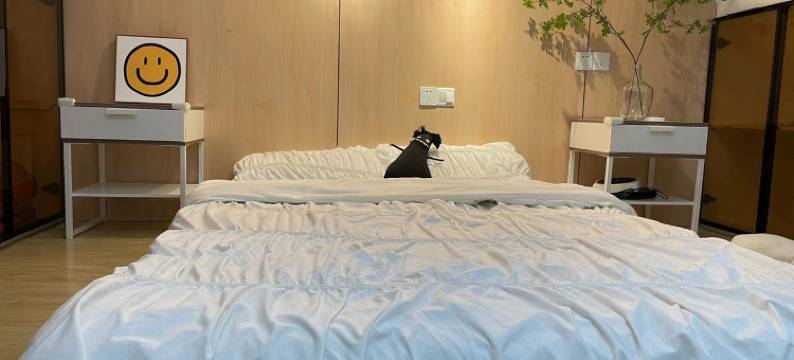 上大宝山校区民宿(锦秋路4号分店)图片