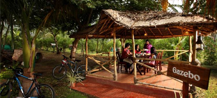 新鲜采收农场家庭旅馆(Harvest Fresh Farms)图片