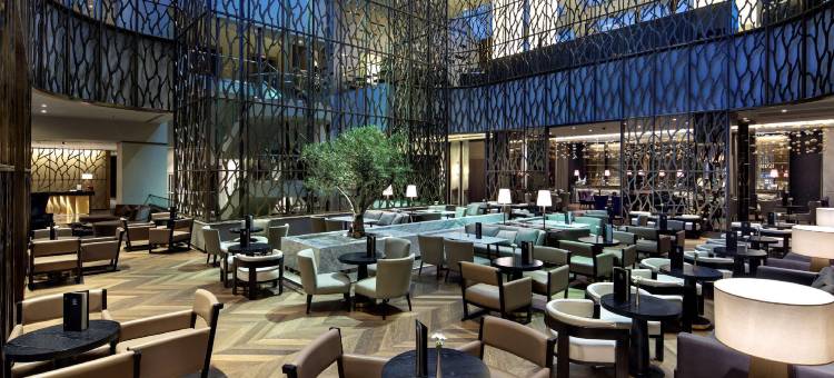 安卡拉希尔顿酒店(Ankara Hilton)图片