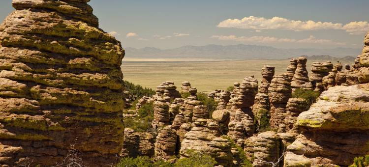 谢拉维斯塔马格努森酒店(Magnuson Hotel Sierra Vista)图片