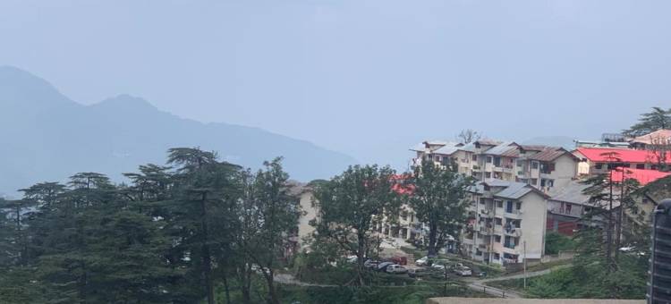 阿莱卡家庭旅馆(Aarika Homestay)图片