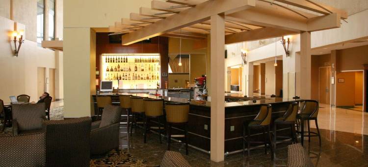 达拉斯理查森希尔顿逸林酒店(DoubleTree by Hilton Hotel Dallas - Richardson)图片