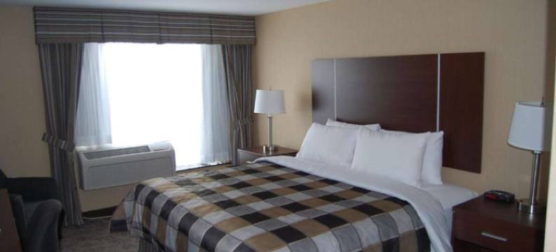 宾顿戴斯酒店(Days Inn by Wyndham Brampton)图片