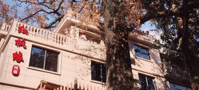 永嘉红枫缘民宿图片