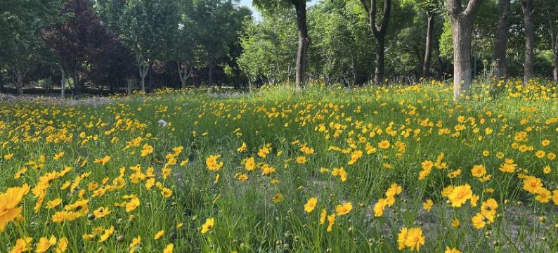 刘女士公寓(岷山路分店)图片