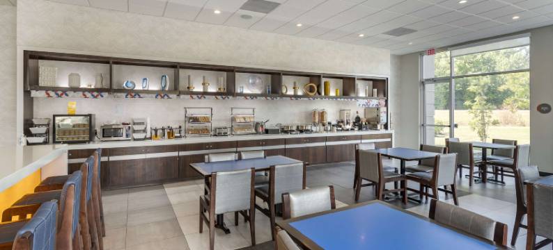 萨凡纳门户I-95贝斯特韦斯特格洛酒店(GLo Best Western  Savannah-Gateway I-95)图片