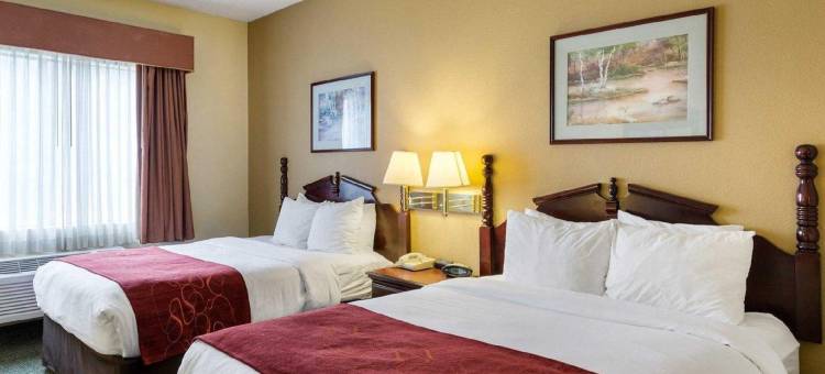 康福特套房布什洲际机场酒店(Comfort Suites Bush InterContinental Airport)图片