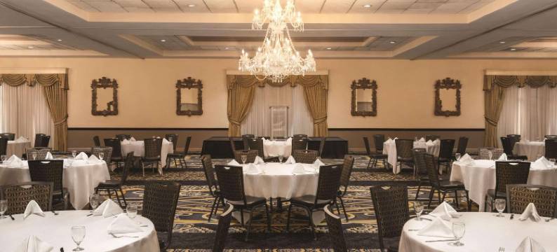 丽笙酒店和会议中心-罗克福德(Radisson Hotel & Conference Center Rockford)图片