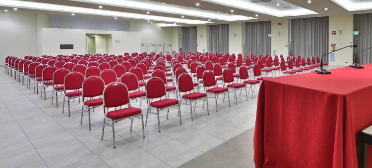 克雷莫纳皇宫酒店(Cremona Palace Hotel)图片