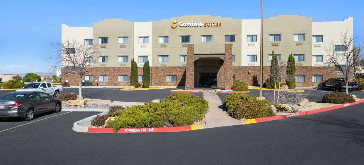 拉斯克鲁塞斯综合康福特套房套房(Comfort Suites University)图片