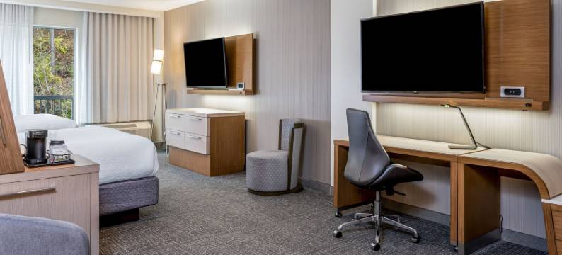 阿什维尔比尔特摩尔村万怡酒店(Courtyard Asheville Biltmore Village)图片