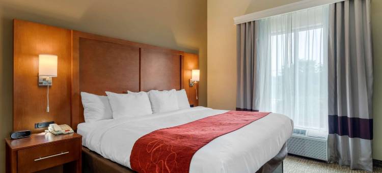 金斯波特南舒适套房酒店(Comfort Suites)图片