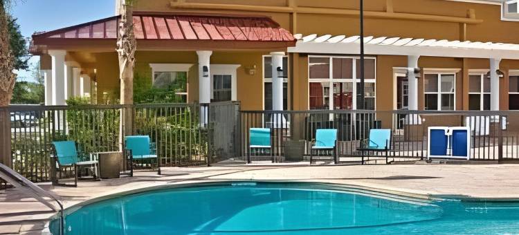 坦帕桑科斯特大路北点村Residence Inn 酒店(Residence Inn Tampa Suncoast Parkway at NorthPointe Village)图片