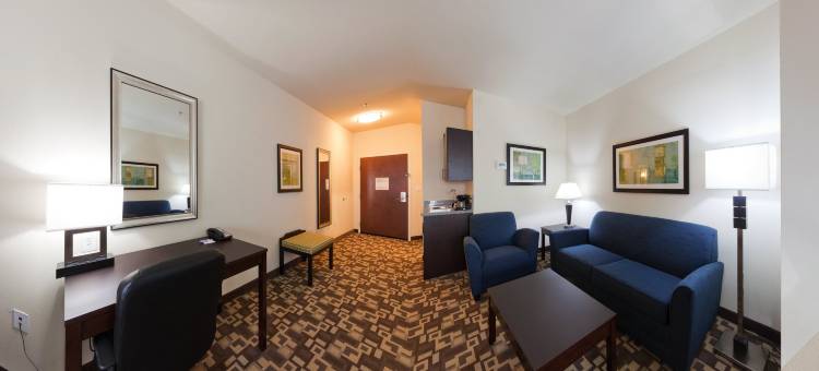 智选假日套房酒店亚特兰大ARPT西 - 营河(Holiday Inn Express & Suites Atlanta Arpt West - Camp Creek)图片