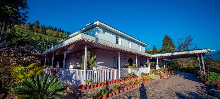 Eco Adventure Resorts the Temi Bungalow图片