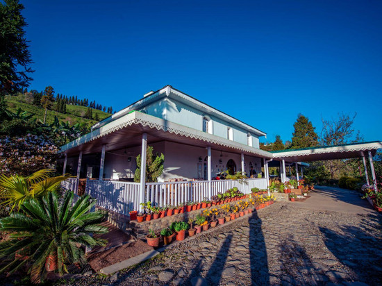 Eco Adventure Resorts the Temi Bungalow