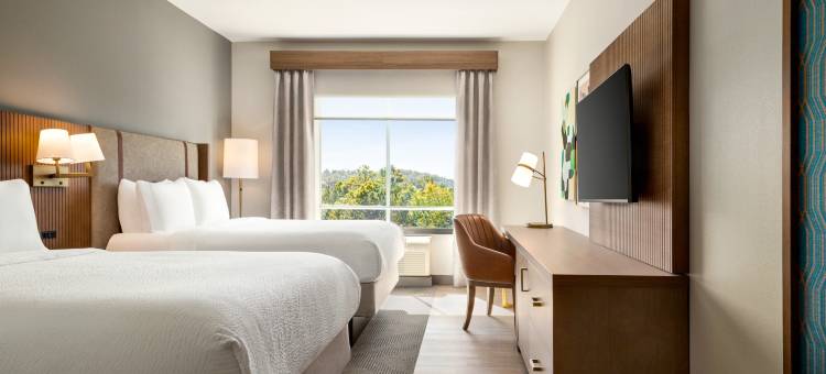 Holiday Inn 伯明翰 - 胡佛(Holiday Inn Birmingham - Hoover)图片