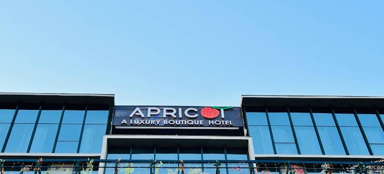 莫特拉杏子酒店(Apricot Motera)图片