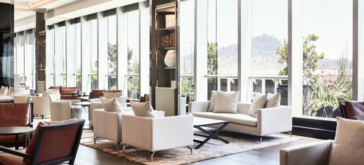 圣地亚哥-斯塔内拉中心AC酒店(AC Hotel Santiago Costanera Center)图片