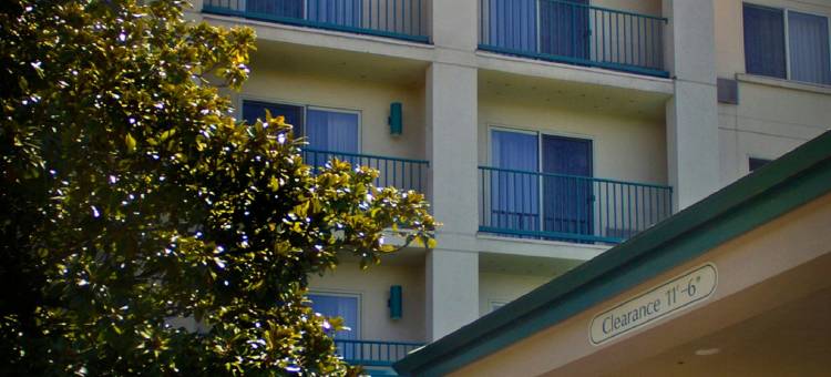 波特兰泰格德万怡酒店(Courtyard Portland Tigard)图片