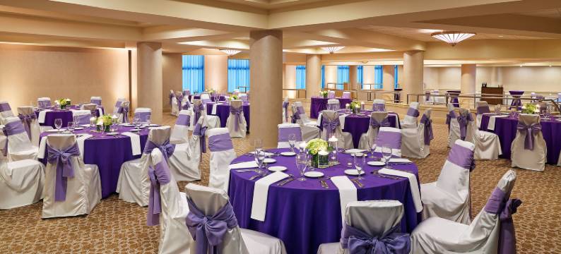 巴尔的摩北喜来登酒店(Sheraton Baltimore North Hotel)图片