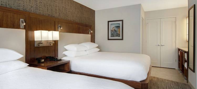 底特律都会机场希尔顿安泊酒店(Embassy Suites by Hilton Detroit Metro Airport)图片