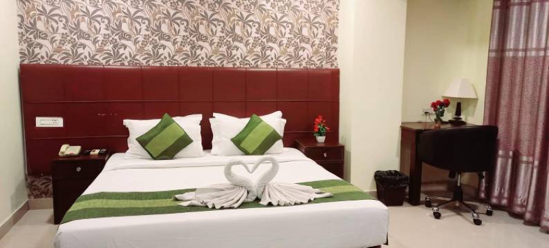 帕特里普特拉尼瓦那酒店(Hotel Patliputra Nirvanaa)图片