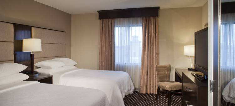 休斯顿希尔顿安泊套房酒店-近加勒里亚(Embassy Suites by Hilton Houston Near the Galleria)图片